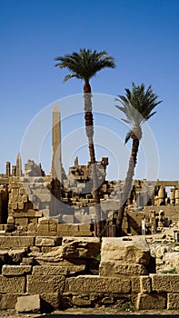 Karnak temple Egypt Luxor  landscape obelisk colum with palm trees foreground and architecture ruins