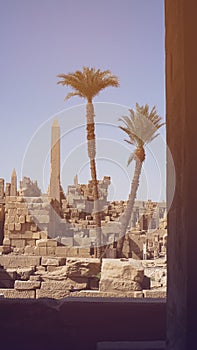 Karnak temple Egypt Luxor  landscape obelisk colum with palm trees foreground and architecture ruins