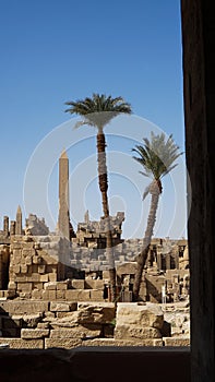Karnak temple Egypt Luxor  landscape obelisk colum with palm trees foreground and architecture ruins