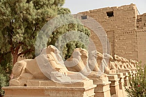 Karnak Temple in Luxor Egypt