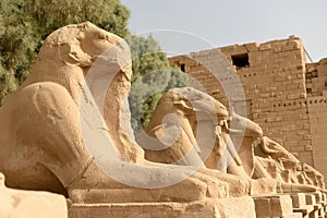 Karnak Temple in Luxor Egypt