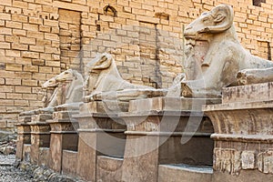 Karnak Temple, Luxor, Egypt