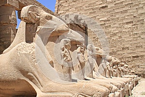 Karnak Temple photo