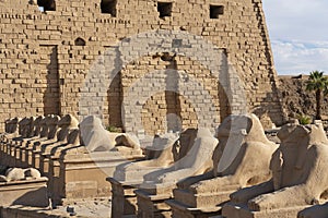 Karnak temple sphinxes alley, Egypt