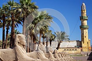 Karnak Temple Sphinxs