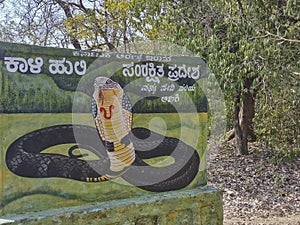 Karnataka tiger reserve, Karnataka, India
