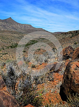 Karoo National Park view in the Great Karoo of South Africa