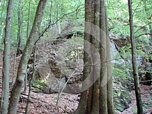 Karst Bridge Nature Reserve. Landscapes of beech forests on the slopes of the Transcarpathian mountains of Tyachiv region.