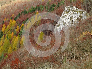 Karst forest Swabian Alps fall season nature landscape