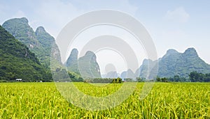 Karst landscape in China