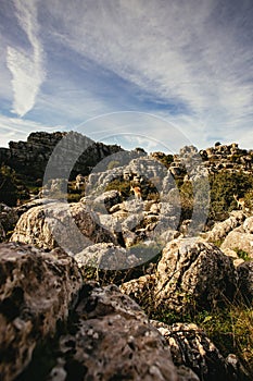 Karst landscape with limestone rock formations photo