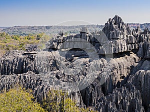 Karst limestone formations in Tsingy de Bemaraha National Park, Madagascar