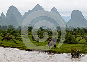 Karst peaks in Xingping Town and the Li River known as Lijiang River.