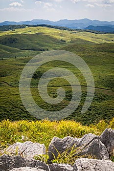 Karst Pillars and Landscape with Sinkholes, Portrait View