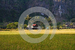 Karst rock wall in Ramang-ramang