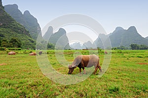 Karst scenery in Guangxi province, China photo