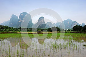 Karst scenery in Guangxi province, China photo