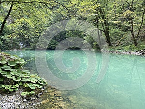 Karst spring of the river Kupa or natural monument source of the river Kupa in the region of Gorski kotar - Razloge, Croatia