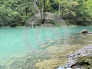 Kras jaro z řeka nebo přírodní pomník zdroj z řeka v kraj z chorvatsko 