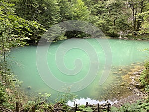 Karst spring of the river Kupa or natural monument source of the river Kupa in the region of Gorski kotar - Razloge, Croatia