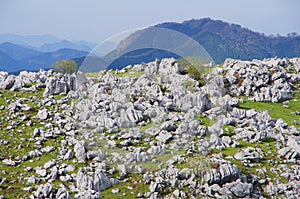 Karst topography (Shikoku Karst)