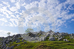 Karst topography (Shikoku Karst)