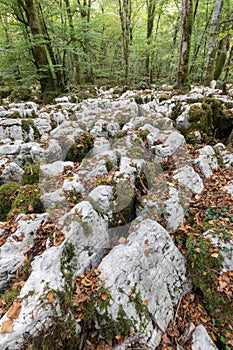 The karstic trail of Malrochers from Jura, France