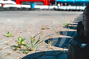 Kart racing track, road surface. Safety Guard, fence made of old tires. place for text. Go karts racing, rent. extreme sport. fun