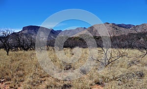 Kartchner Caverns State Park in Benson, Arizona