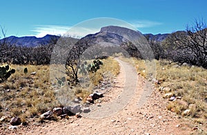 Kartchner Caverns State Park in Benson, Arizona