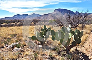 Kartchner Caverns State Park in Benson, Arizona