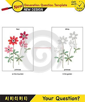 Biology lecture notes - Adaptation, mutation, inheritance