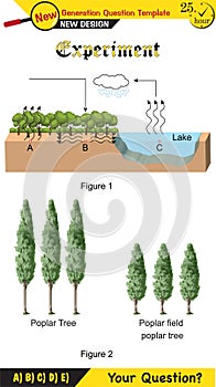 Physics - Joseph priestley`s experiment, plant experiments