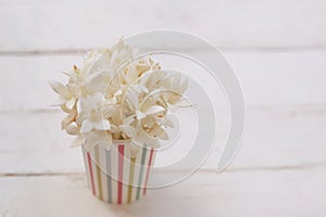 Kasalong flower or Millingtonia hortensis flower is blooming in paper cup