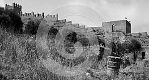 Kasbah Chellah in Rabat in Morocco in black and white