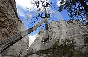 Kasha-Katuwe Tent Rocks National Monument, New Mexico, USA