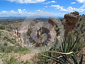 Kashe Katuwe Hoodoo `White Cliff` rock Formations and Yucca