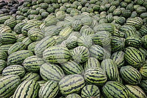 Kashgar watermelons