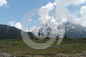 Kashmir mountain sky india north nature snow tree grass
