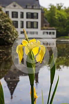Kasteel Renswoude, Castle Renswoude