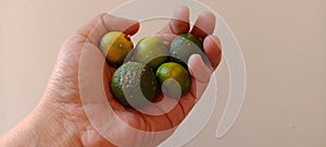 Kasturi orange is held on a white background