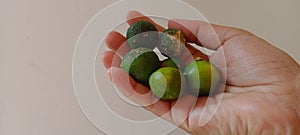 Kasturi orange is held on a white background