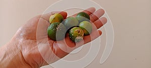 Kasturi orange is held on a white background