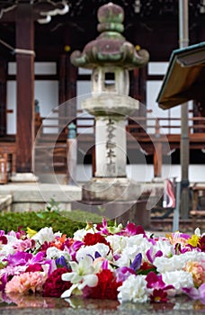 Kasuga-doro stone lantern with the flower buds on the foreground. Kyoto. Japan