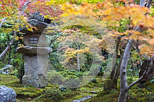 Kasuga doro or stone lantern in Japanese maple garden during autumn at Enkoji temple, Kyoto, Japan photo