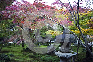 Kasuga doro or stone lantern in Japanese maple garden during autumn at Enkoji temple, Kyoto, Japan