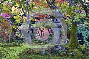 Kasuga doro or stone lantern in Japanese maple garden during autumn at Enkoji temple, Kyoto, Japan