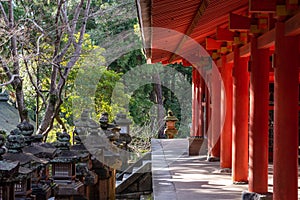 Kasuga Grand Shrine, corridors in the shrine complex and Stone lanterns