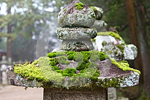 The Kasuga Taisha Grand Shrine in Nara.
