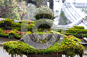 The Kasuga Taisha Grand Shrine in Nara.